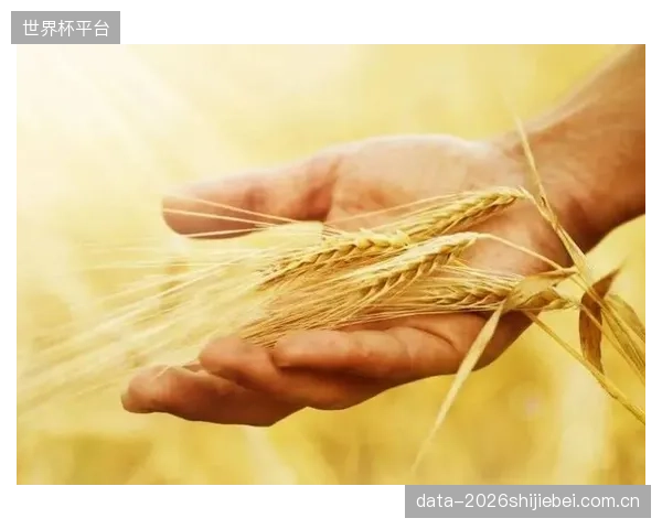毫秒级无缝切换不是“锦上添花”，而是体育赛事商业价值的“安全红线